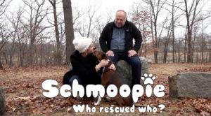 Schmoopie